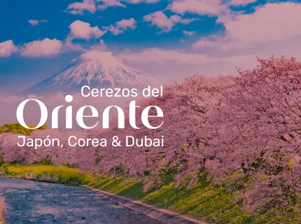 Cerezos del Oriente